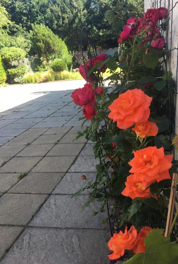 Klidne A Utulne Ubytovani Brno Stary Liskovec ภายนอก รูปภาพ